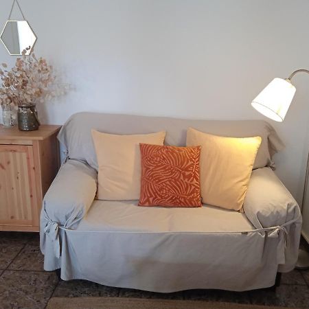 Casa Olivera- Apartament Al Passeig Font Vella Sant Hilari Sacalm Zewnętrze zdjęcie