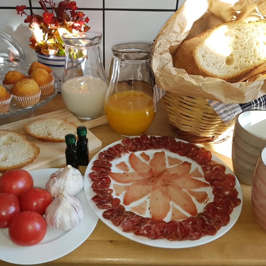 Casa Olivera- Apartament Al Passeig Font Vella Sant Hilari Sacalm Zewnętrze zdjęcie