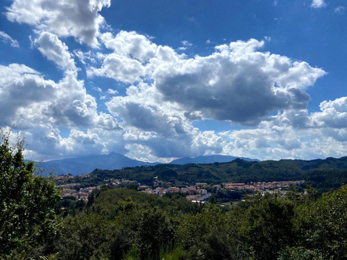 Casa Olivera- Apartament Al Passeig Font Vella Sant Hilari Sacalm Zewnętrze zdjęcie